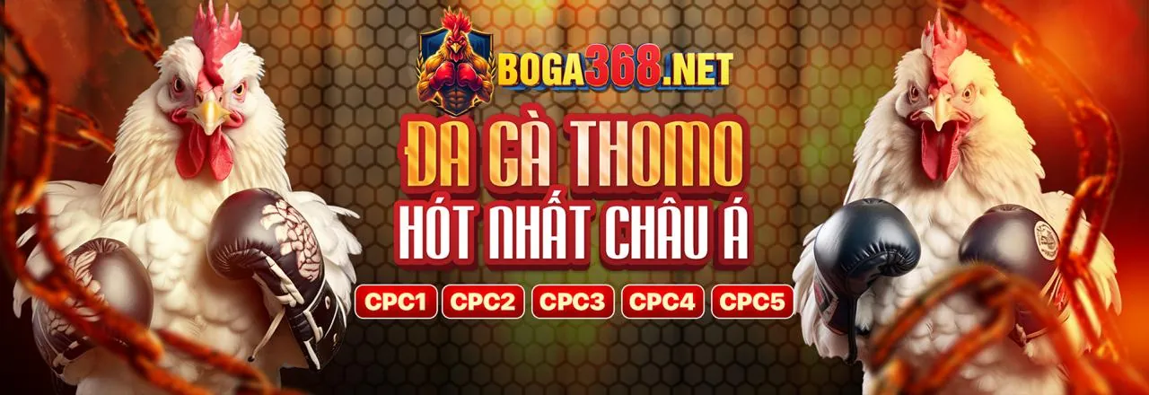 Đội ngũ hỗ trợ khách hàng chuyên nghiệp của cwin09 code sẵn sàng phục vụ